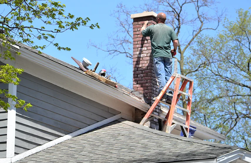 Chimney & Fireplace Inspections Services in Monroe, NC